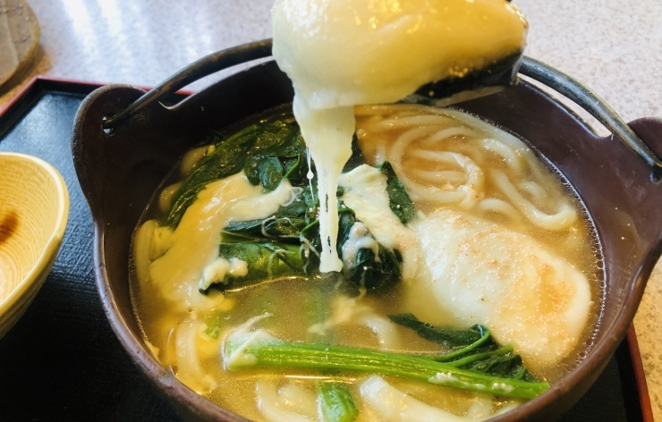 明太チーズ とろ りしあわせうどん うどん茶房 麺楽 メンラク のニュース まいぷれ 八女市 広川町