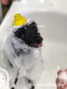 ペロン「秋のオプションキャンペーン　（＾_＾）」