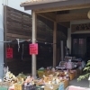 野々下青果店