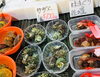 「西海物産館魚魚市場 鮮魚コーナーおすすめ商品は「牡蠣の特売」です！」