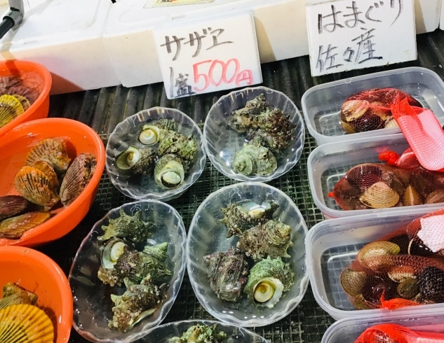 「西海物産館魚魚市場 鮮魚コーナーおすすめ商品は「牡蠣の特売」です！」