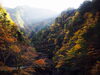 「明神峡の紅葉が見ごろ【静岡県浜松市のグルメ・ショップ・レジャー・イベント情報などをお届け】」