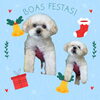 「Dog salon mofu mofu　余市町」