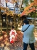 神社でロケ撮影♪　「七五三おめでとうございます！！」