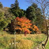 知波夜比売神社（ちなやひめじんじゃ）の紅葉♪三次市布野町下布野の風景です