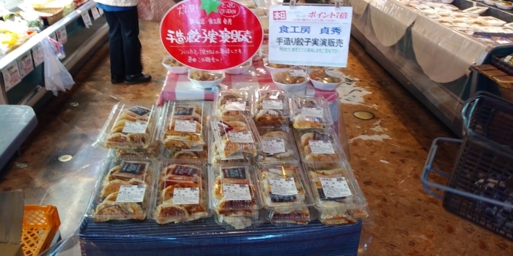 「本日、食工房貞秀さんの餃子実演販売開催中です★」