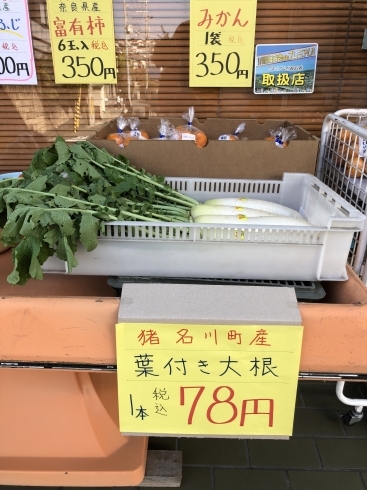 「猪名川町産！　葉つき大根がお買い得！」