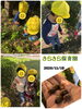 「秋の気配 【交野市 小規模保育園】」