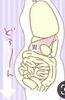 「腸を健やかに！」