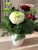 今週のお花です「「サブスク」2週目、届きました！」