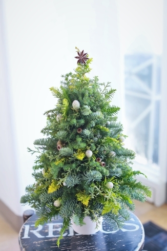 4種類の枝ものを使用したフレッシュなツリーです。「クリスマス」