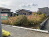 作業前「海外から草刈りのご依頼【浜松で遺品整理・生前整理・お掃除・不用品回収ならプロハーツ】」