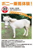 ポニー体験乗馬「ポニー来ます！！！」