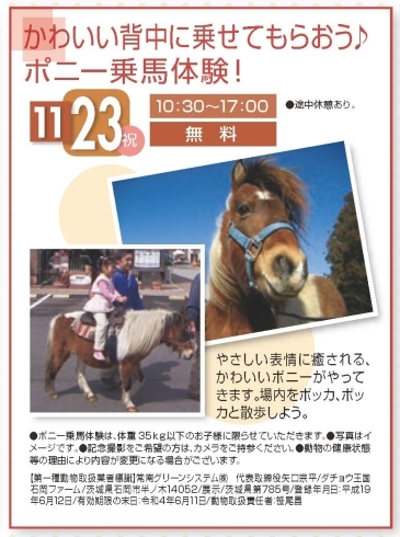 ポニー乗馬体験「キャンペーン最終日です！！」