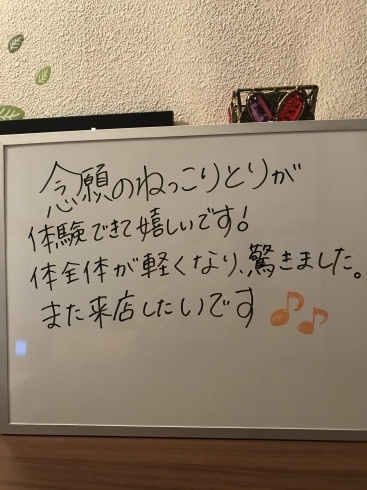 矢野駅近く 中国整体とねっこりとりのお店 肩こり腰痛にはもみねっこ セラピストへ 中国整体とねっことりのお店 もみねっこのニュース まいぷれ 広島市安芸区