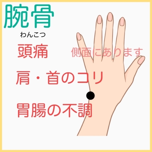 結膜炎 ものもらいになった時に押す ツボ 新潟市中央区ハレルヤ鍼灸整骨院 夜遅く 21時 まで受付