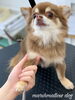 足先カット中〜「秋のオプションキャンペーン　^o^」
