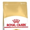 RC FBN ノルウェージャンフォレストキャット　400g