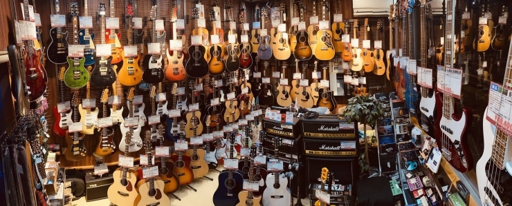 店内「【新居浜市：坂井町】music miura（ミュージックミウラ）さんでアコースティック入門ギターSALE開催中！」