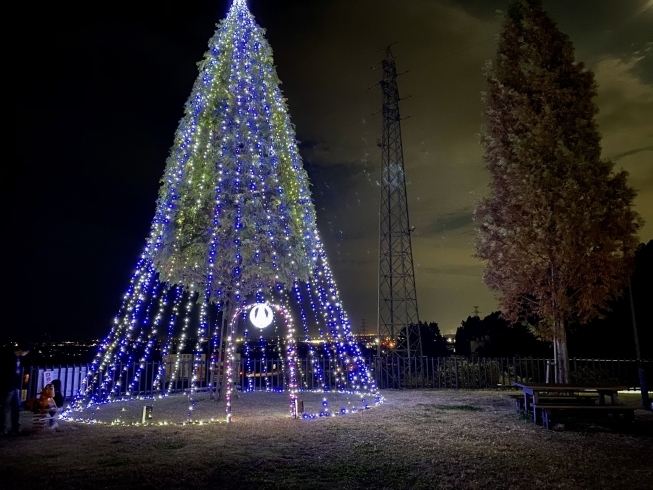 圧巻のクリスマスツリー！「今年初のイルミネーションは、「道の駅 池田温泉」から♪」