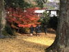「髙田神社へ舞鶴探訪（3年生キャリア探求） 」