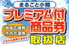 小樽まるごとクーポン券「小樽まるごとクーポン券」