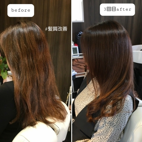 復元ヘアエステbefore〜3回目afterの写真「髪質改善メニューのご紹介」