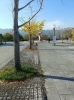 「お気に入りの公園」