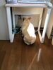 わずかな光も見逃しません(笑)「寒さに負けるな！٩(^‿^)۶」