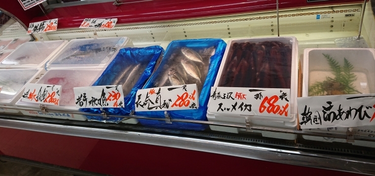 「八千代市、佐倉市の鮮魚店  　京成、東葉勝田台から徒歩10分　 魚や山粋（ヤマスイ)   【12/7特売情報】」