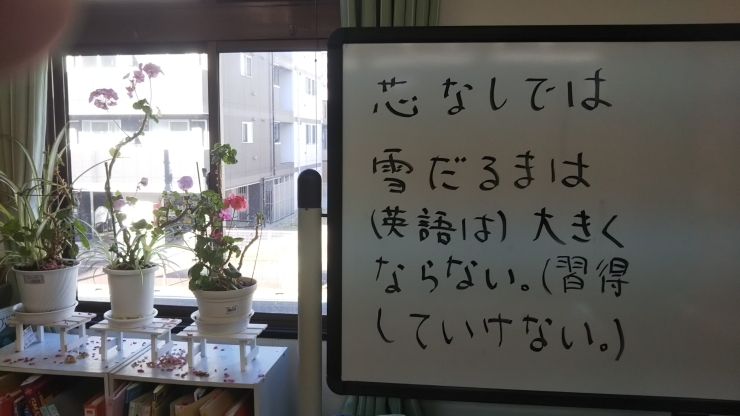 「全ての分野で　英語難民解消には　致命的欠陥がある日本の英語の教え方　　その（４）　ー20a－　」