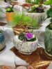 「お待たせしました！お正月のカッコいいオリジナル寄せ植え出来ました!自然の苔がいい味出してます。」