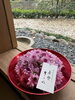 「菊玉ワークショップ」