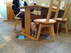 「今日のお友達」