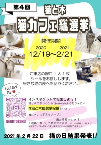 第4回猫と木猫カフェ総選挙 ネコcafe 猫と木のニュース まいぷれ 福島市