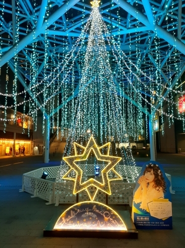 太田川駅　西側「ウィンターイルミネーションin太田川2020　～twinkle twinkle little star ～」
