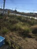 ビフォー「安全のために人員をプラス【浜松で遺品整理・生前整理・お掃除・不用品回収ならプロハーツ】」