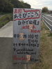 あそびごころ満載の看板！しかもグローバル仕様「北条散策してます！」