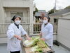 「今年の山東菜は色も良し大きさも良し！美味しい白菜付けが出来ますね♪《柴又亀家おかみの独り言》【柴又名物草だんごが人気☆柴又帝釈天から一番近いお団子屋】」