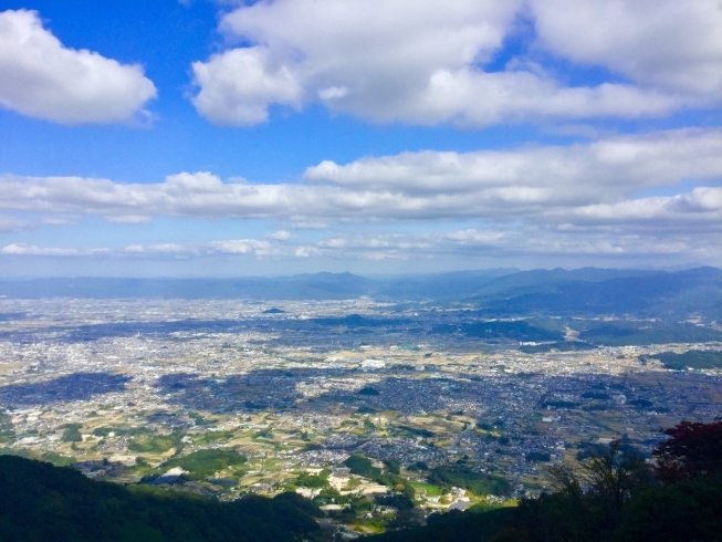 エリアは橿原市葛城市御所市 大和高田市 明日香村 「2月グランドオープン」