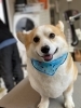「今日のお客様☺︎」