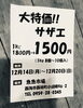 「西海物産館 魚魚市場鮮魚コーナーのおすすめ商品は「大特価！サザエ」です♪」