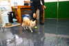 チッチちゃん「今日のお友達」