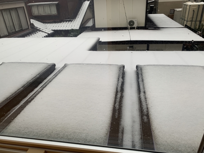 今朝の雪「【整体】年末年始のお知らせ」