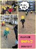 「今日のお散歩は・・   交野市 小規模保育園」