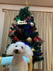 「もうすぐクリスマス♫」