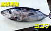「○本日のお刺身○【島根県産】ヨコワ、天然タイ」