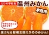 最高傑作と評される品種 『南柑20号』☆ ※別名「みかんの王様」 | Gift