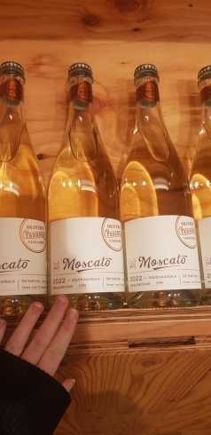 モスカート: オリーバーズタランガ「新しい輸入ワインの紹介でーす！」