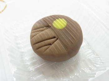 和菓子作り……プロの指導で小学生もご覧のとおり。